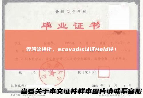 零污染进化，ecovadis认证Hold住！