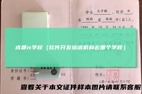 成都it学校（软件开发培训机构去哪个学校）