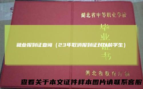 就业报到证查询（23年取消报到证对以前学生）