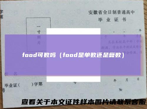 food可数吗（food是单数还是复数）