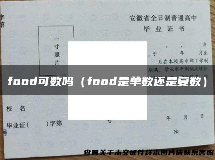 food可数吗（food是单数还是复数）