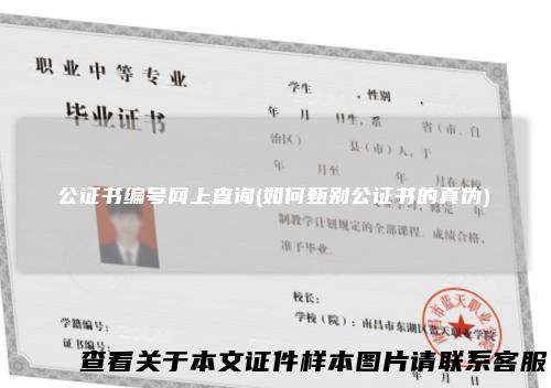 公证书编号网上查询(如何甄别公证书的真伪)