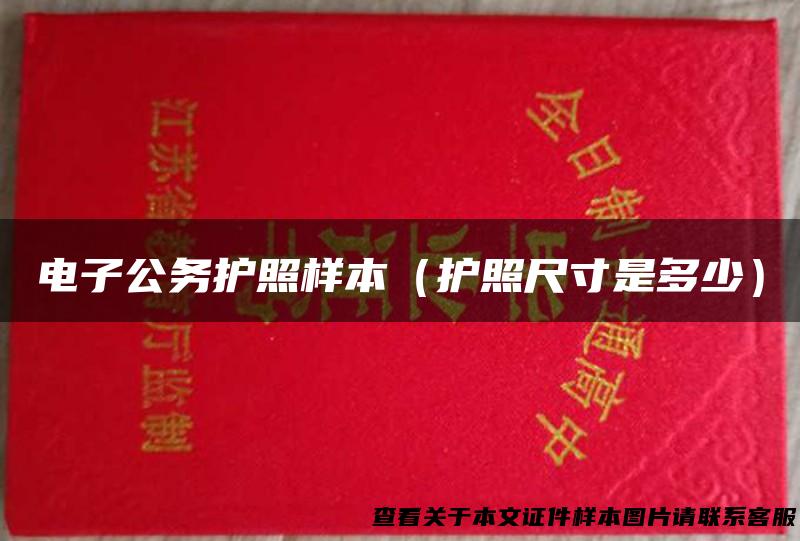 电子公务护照样本（护照尺寸是多少）