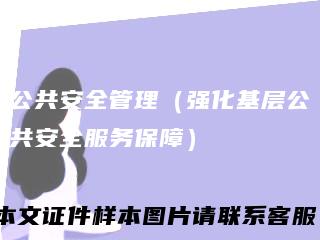 公共安全管理（强化基层公共安全服务保障）