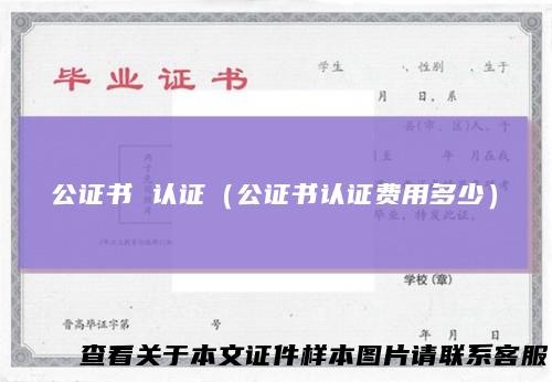 公证书 认证（公证书认证费用多少）