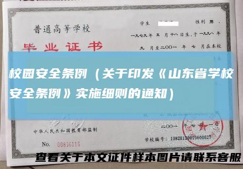 校园安全条例（关于印发《山东省学校安全条例》实施细则的通知）