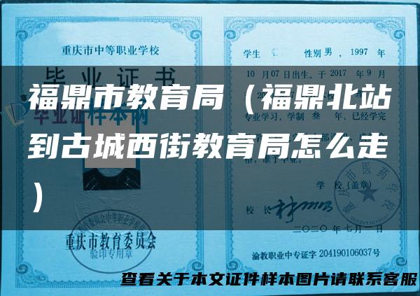 福鼎市教育局（福鼎北站到古城西街教育局怎么走）