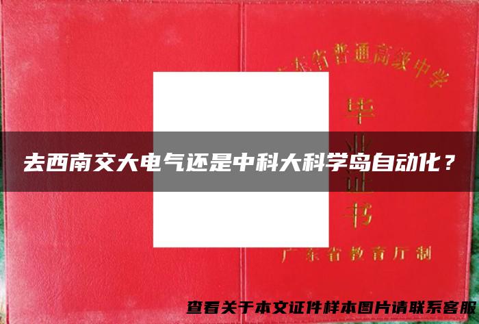 去西南交大电气还是中科大科学岛自动化？