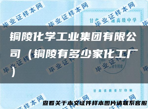 铜陵化学工业集团有限公司（铜陵有多少家化工厂）