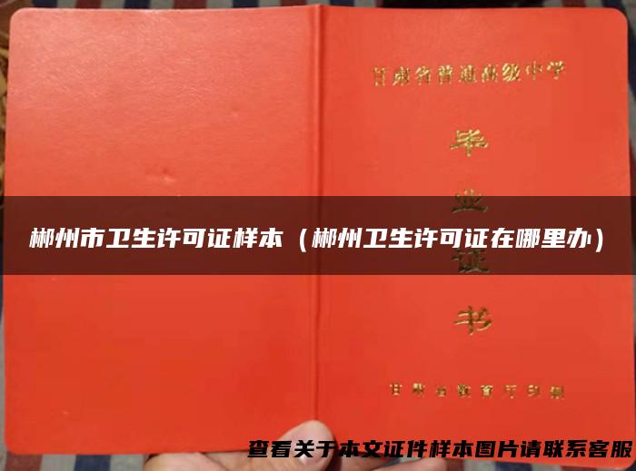 郴州市卫生许可证样本（郴州卫生许可证在哪里办）