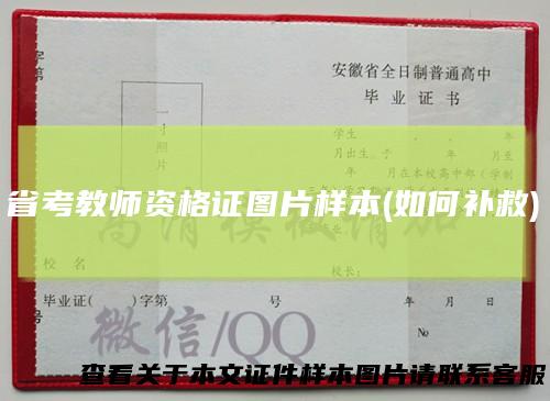 省考教师资格证图片样本(如何补救)