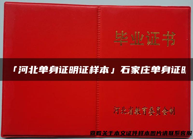 「河北单身证明证样本」石家庄单身证明