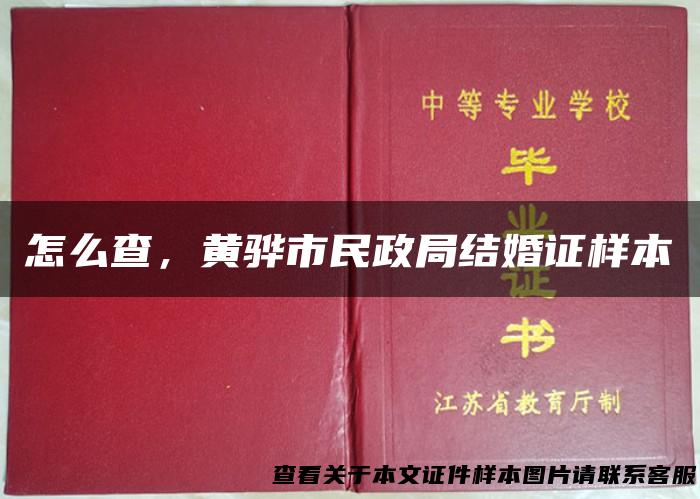 怎么查，黄骅市民政局结婚证样本