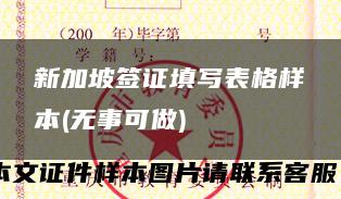 新加坡签证填写表格样本(无事可做)