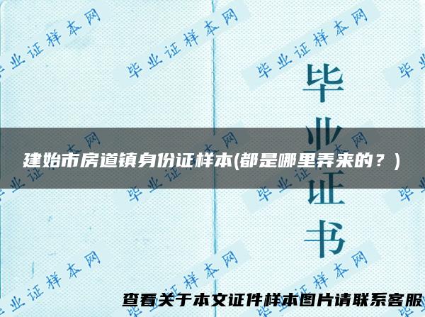 建始市房道镇身份证样本(都是哪里弄来的？)