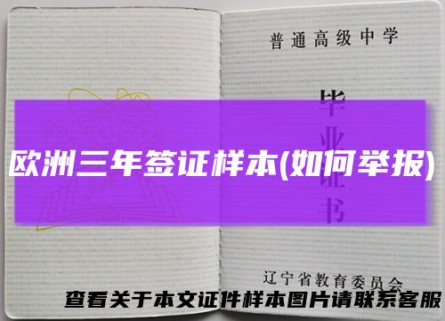 欧洲三年签证样本(如何举报)