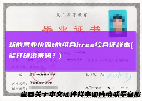 新的营业执照t的组合hree综合征样本(能打印出来吗？)