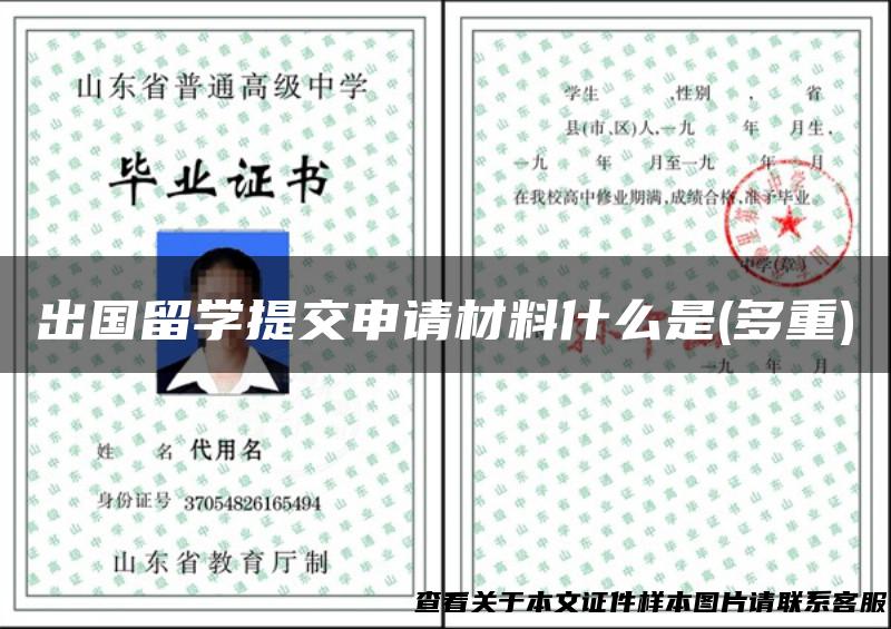 出国留学提交申请材料什么是(多重)