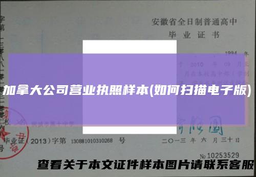 加拿大公司营业执照样本(如何扫描电子版)