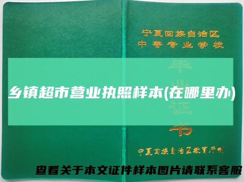 乡镇超市营业执照样本(在哪里办)