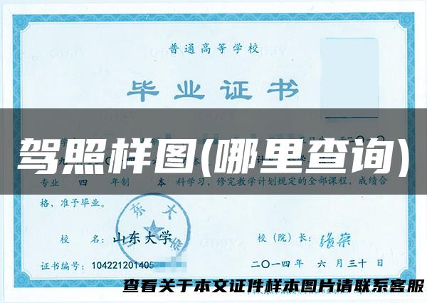 驾照样图(哪里查询)