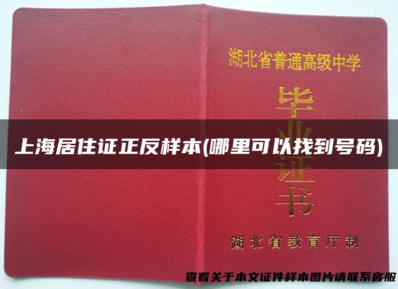 上海居住证正反样本(哪里可以找到号码)