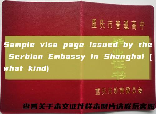 Sample visa page issued by the Serbian Embassy in Shanghai (what kind)