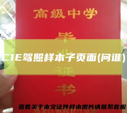 C1E驾照样本子页面(问谁)