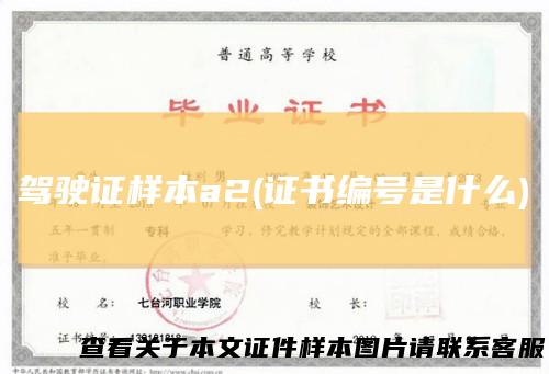 驾驶证样本a2(证书编号是什么)