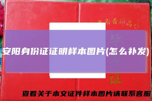 安阳身份证证明样本图片(怎么补发)