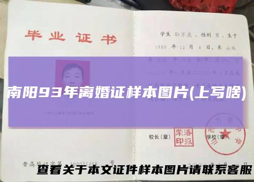 南阳93年离婚证样本图片(上写啥)