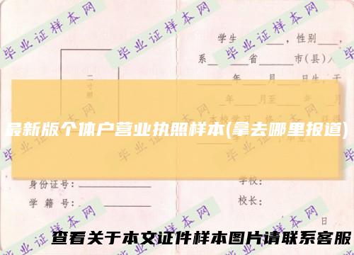 最新版个体户营业执照样本(拿去哪里报道)