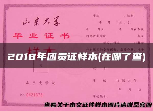 2018年团员证样本(在哪了查)