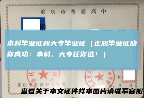 本科毕业证和大专毕业证（正规毕业证助你成功：本科、大专任你选！）