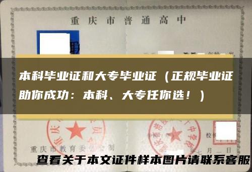 本科毕业证和大专毕业证（正规毕业证助你成功：本科、大专任你选！）