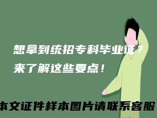 想拿到统招专科毕业证？来了解这些要点！