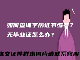 如何查询学历证书编号？无毕业证怎么办？