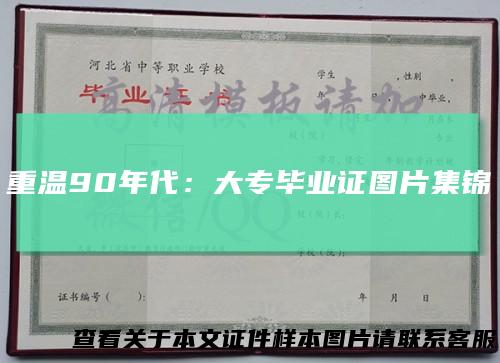 重温90年代：大专毕业证图片集锦