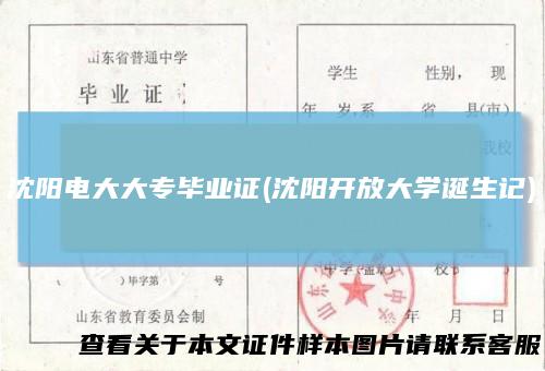 沈阳电大大专毕业证(沈阳开放大学诞生记)