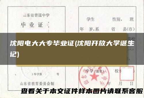 沈阳电大大专毕业证(沈阳开放大学诞生记)