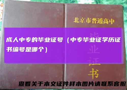 成人中专的毕业证号（中专毕业证学历证书编号是哪个）