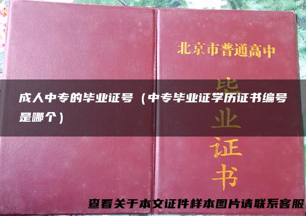 成人中专的毕业证号（中专毕业证学历证书编号是哪个）