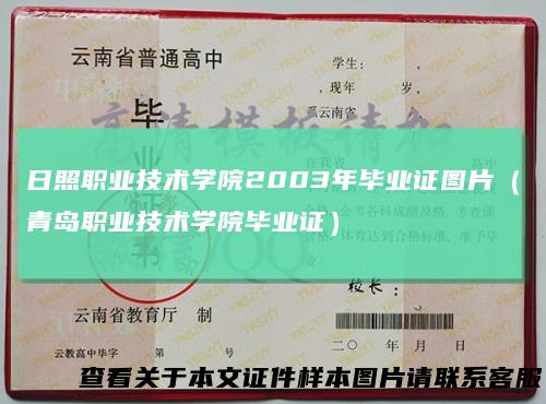 日照职业技术学院2003年毕业证图片（青岛职业技术学院毕业证）