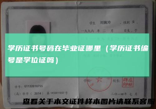 学历证书号码在毕业证哪里（学历证书编号是学位证吗）