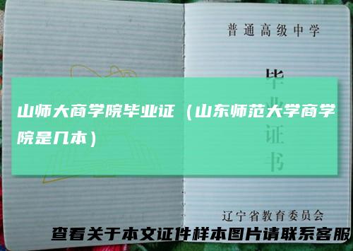 山师大商学院毕业证（山东师范大学商学院是几本）