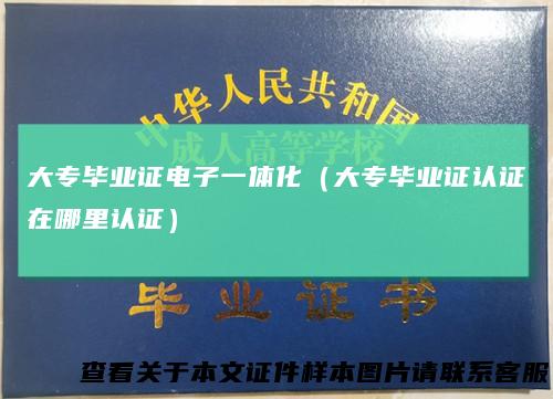 大专毕业证电子一体化（大专毕业证认证在哪里认证）