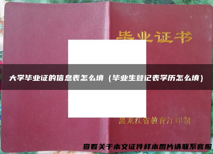 大学毕业证的信息表怎么填（毕业生登记表学历怎么填）