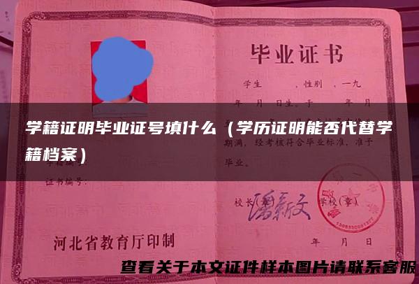 学籍证明毕业证号填什么（学历证明能否代替学籍档案）