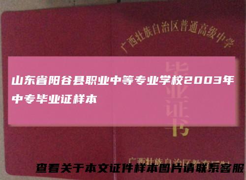 山东省阳谷县职业中等专业学校2003年中专毕业证样本