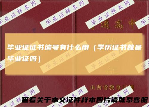 毕业证证书编号有什么用（学历证书就是毕业证吗）